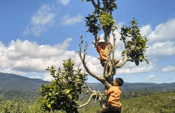 Eksperimen Seru di Halaman Sekolah